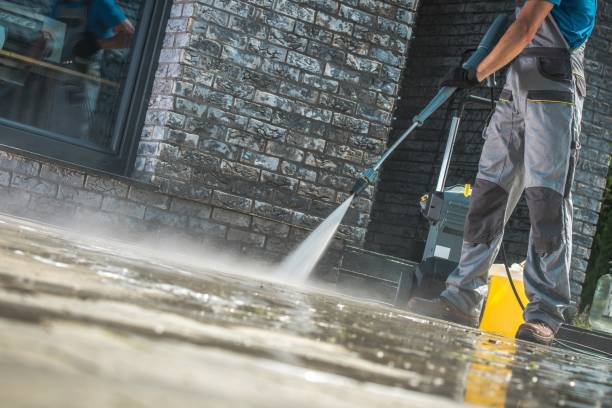 Animal Enclosure Cleaning in Warsaw, KY
